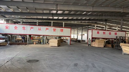 宿州安佳木业有限公司胶合板生产扩建项目